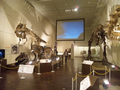 DVC00403.gif