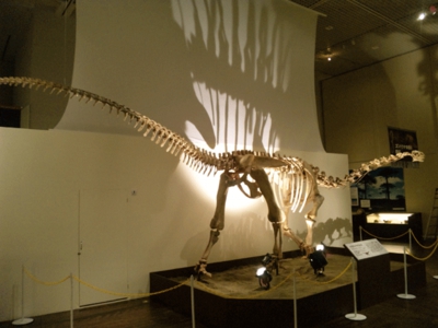DVC00407.gif